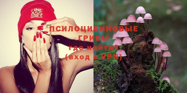 кокаин Белокуриха
